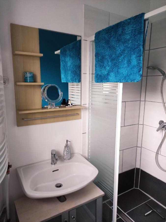 Ferienwohnung-Im-Karolinenkoog-Erholung-Zwischen-Feld-Und-Deich ภายนอก รูปภาพ