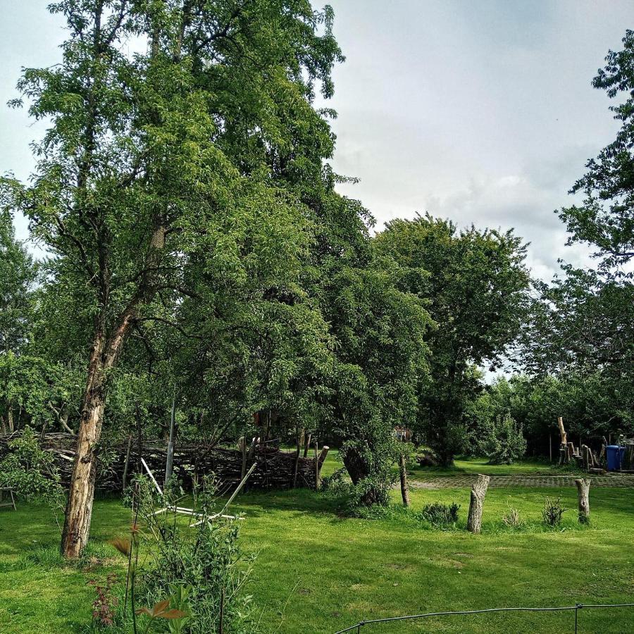 Ferienwohnung-Im-Karolinenkoog-Erholung-Zwischen-Feld-Und-Deich ภายนอก รูปภาพ